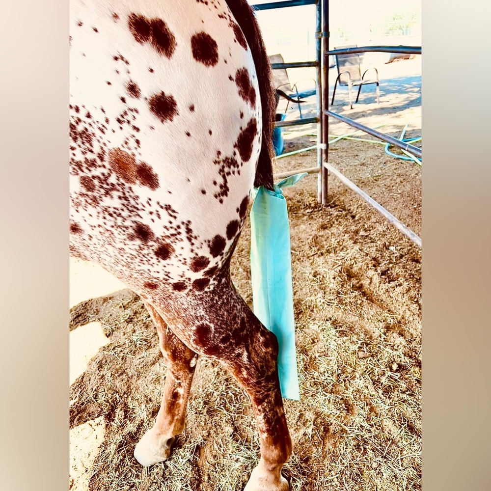 Horse tail bag